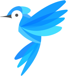 Website design and development montreal